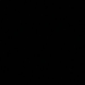 Meet your Posher, Camille